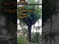 അത്ഭുതങ്ങളിൽ ഒന്ന്