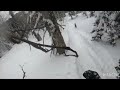 forest freeride sheregesh 2024