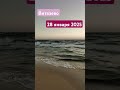 Море и пляж в Витязево 28 января 2025