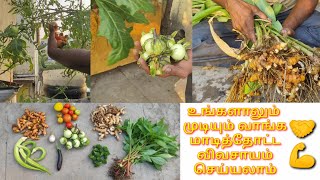 நானும் விவசாயிதான் மாடித்தோட்டத்தில் . காய்கறி அறுவடை. organic terrace garden vegetables harvest .