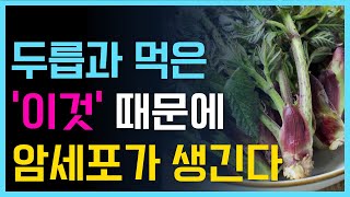 두릅 제발 이렇게 드세요! 두릅 효능 / 두릅 요리 / 최고의 섭취방법 3가지와 최악의 섭취방법 3가지