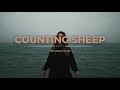 The Crane Wives - Counting Sheep (Lyrics)