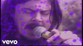 Butthole Surfers - Dust Devil