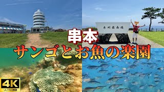 4K Wakayama Kushimoto DAY2: Shirano Beach and Shio-no-Misaki Sightseeing Tower (with subtitles)