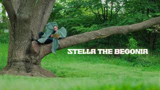 Rubblebucket - Stella The Begonia (Official Video)