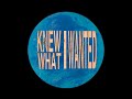 vlncent chi - knew what i wanted (full album, wav audio)