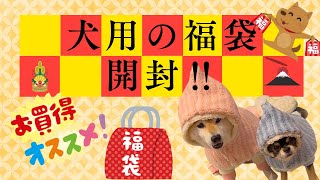 犬用の福袋開封しました♪