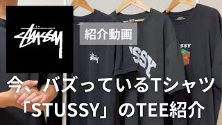 【2023年、めちゃ流行ってます】今、最高にバズっているブランド『STUSSY』のTEEを紹介