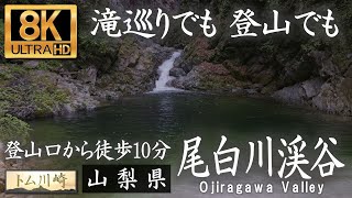 【8K】滝巡りでも登山でもよし 尾白川渓谷｜Ojiragawa Valley