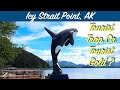 Icy Strait Point, AK - Should This Port Be On Your Cruise Itinerary? Port Of Call Review