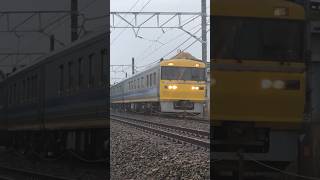 【めちゃレア】在来線のドクターイエロー【ドクター東海】キヤ95 #train #jr #shorts