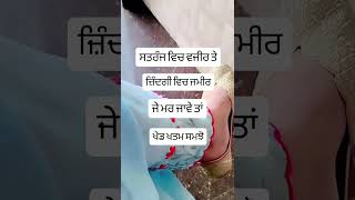 @ ਵਜੀਰ ਤੇ ਜਮੀਰ #status #ytshorts @💯💥