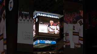 2024 Minnesota Boys All State High School Hockey Tournament - Hermantown vs. Alexandria Area