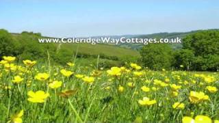 Coleridge Way Cottages - Outside - in HD