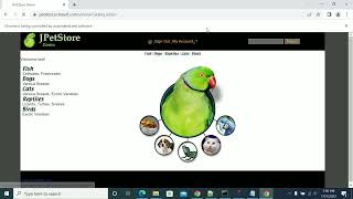 How to Add Assertions and Correlation in Selenium Web Driver