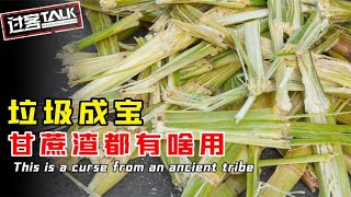 嚼过的甘蔗渣成了宝！都有什么用，为什么成了印度的“摇钱树”？