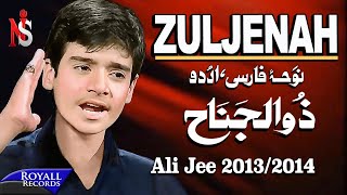 Ali Jee | Zuljenah | 2013-2014 | علی جی شگفت انگیز بچه پاکستان