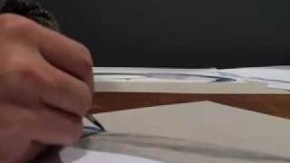 Illustrating Birds