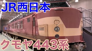 【JR西日本】京都鉄道博物館に国鉄443系電車を見学して来た！