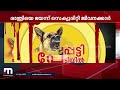 തെരുവുനായകളിൽ നിന്ന് എങ്ങനെ സ്വയംരക്ഷ നേടുമെന്ന ആശങ്കയിൽ സെക്യൂരിറ്റി ജീവനക്കാർ mathrubhumi news