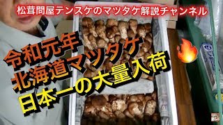 20190902北海道産20KG入荷紹介