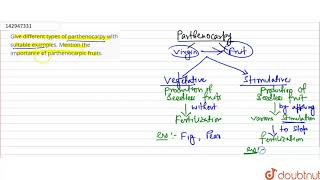 Give different types of parthenocarpy with suitable examples. Mention the importance of