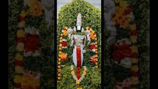 கோவை கொடிசியா ஸ்ரீ ஸ்ரீநிவாஸப் பெருமாள் திருமஞ்சனம் திவ்ய சேவை#shorts