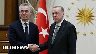 Nato chief calls on Turkey to ratify Sweden and Finland membership – BBC News