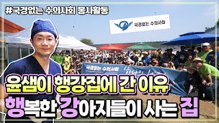 국경없는 수의사회 행강보호소 봉사활동