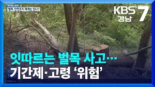 [여기는 진주] 잇따르는 벌목 사고…기간제·고령 ‘위험’ / KBS  2022.04.18.