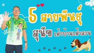 สายพันธุ์สุนัข 5 สายพันธุ์ที่เหมาะสำหรับนำมาเฝ้าบ้านเฝ้าสวน