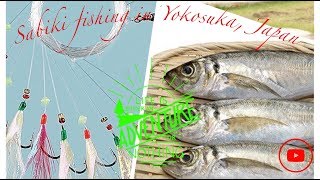 Discover the Thrill of Sabiki Fishing in Yokosuka