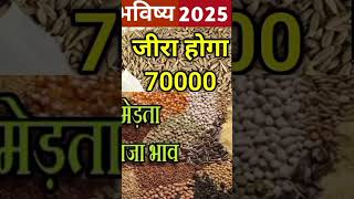 जीरा में तेजी 2025 भविष्य #जीरा_भाव #जीरा #jeerarice #jeera