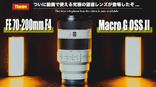 望遠レンズでここまで動画で使えるなんて反則だ... | SONY FE70-200mm F4 Macro G OSS Ⅱ