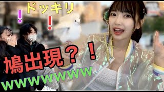 【ドッキリ】マジシャンが街中で突然ハト出したら大パニックwwww【Dove magic】