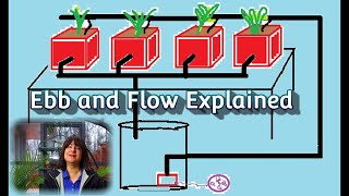 Ebb and Flow Hydroponic System Explained: a.k.a. Flood and Drain Hydroponics