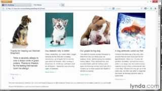 3 Styling buttons using btn classes