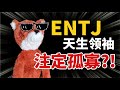 [MBTI]  How to identify the ENTJ personality type around | Foxshuashua#mbti#entj