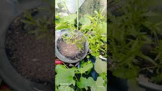 SCIENCE | Erosion by Water | Simple experiment