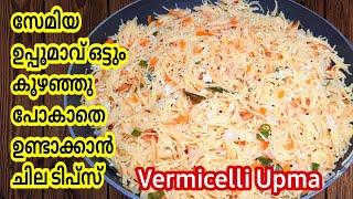 Semiya upma | ഇത്രയും രുചിയിൽ സേമിയ ഉപ്പുമാവ് നിങ്ങൾ കഴിച്ചിട്ടുണ്ടോ | Vermicelli Upma