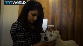 Money Talks: Luxury vets in India