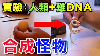 【實驗】外國Youtuber將DNA注入雞蛋，煉成神秘生物！