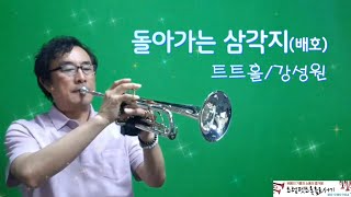 🎺돌아가는삼각지(배호)ㅣ트럼펫 연주(트트홀/강성원)  #트트홀