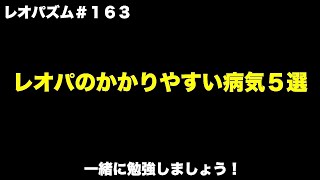 レオパのかかりやすい病気５選【レオパ専用チャンネル！】〜レオパズム  by  SHIGE〜No.163