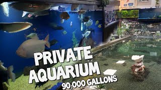 The World's Largest Private Home Aquarium Tour - MONSTER FISH at OHIO FISH RESCUE