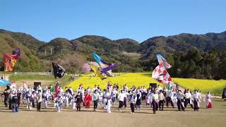 2022川棚菜の花よさこい(総踊りその2)