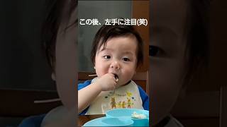 手づかみ食べする赤ちゃん #生後10ヶ月 #shorts  #手づかみ食べ  #baby