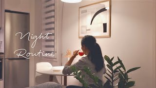 Cozy Night Routine on Evenings Alone | Slow Living Silent Vlog | Life in Finland