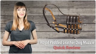 Royal Leather Dog Muzzle with Perfect Air Circulation - ForDogTrainers Review