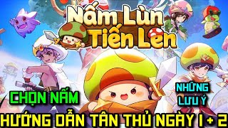 Nấm Lùn Tiến Lên - Hướng Dẫn Tân Thủ Ngày 1 Chọn Nấm Và Lưu Ý Chơi Game - Code Nấm Lùn Tiến Lên